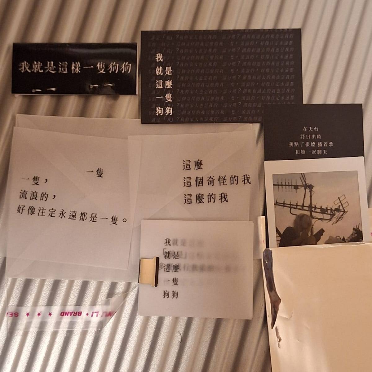 dset（產品 – 文字類）《我就是這麼一隻狗狗》set